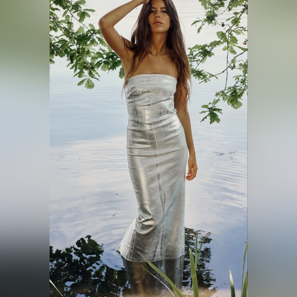 Zara Fitted Metallic Dress